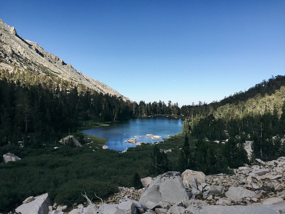 Inyo National Forest in California